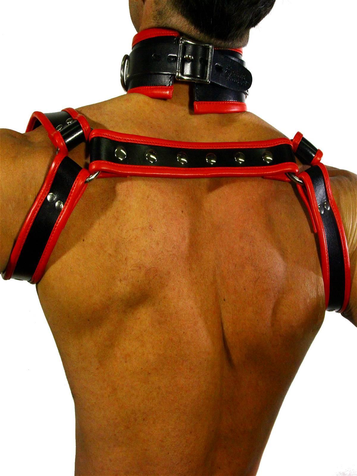 Rude Rider Shoulder Backstrap Harness Leather Black/Red, M size