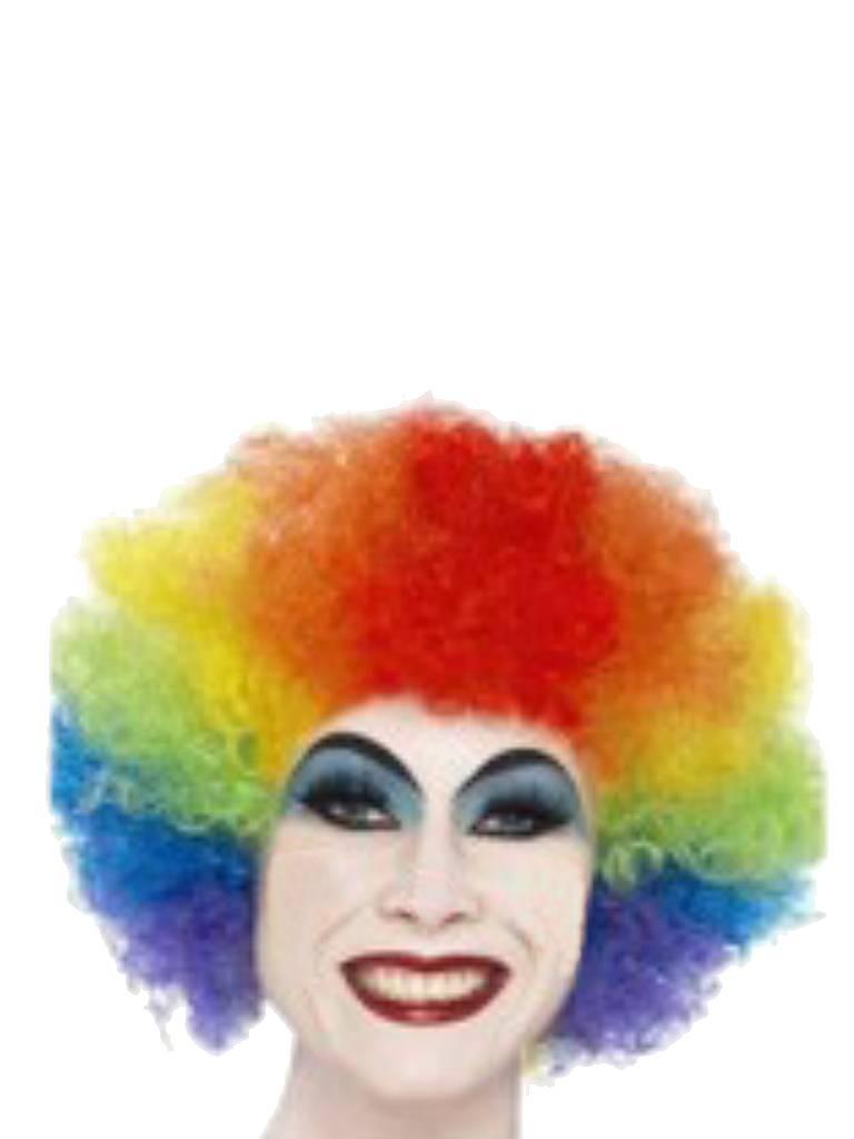 Rainbow Wig