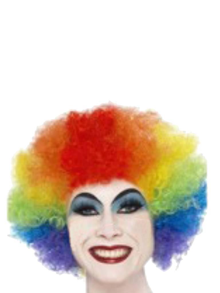 Rainbow Wig
