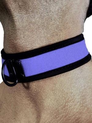 RudeRider Neoprene Puppy Collar Blue