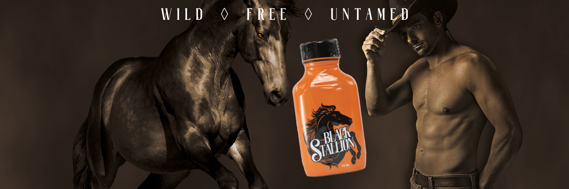 Black Stallion Black Stallion
