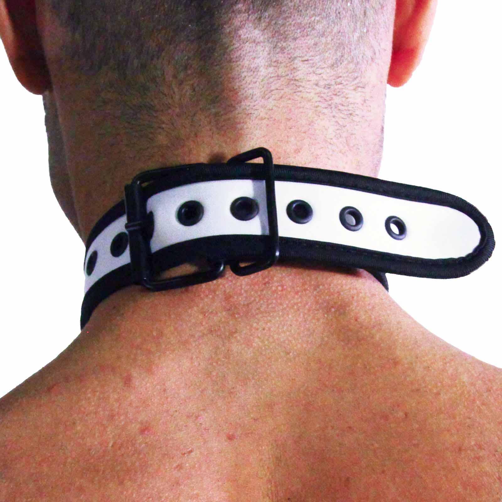 RudeRider Neoprene Puppy Collar White
