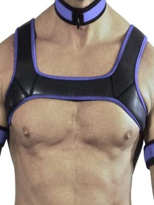 RudeRider Neoprene Harness Black/Blue, M size