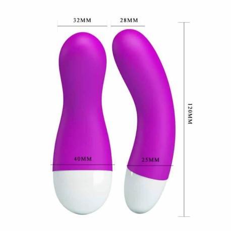 Pretty Love Ian Vibrator, Purple