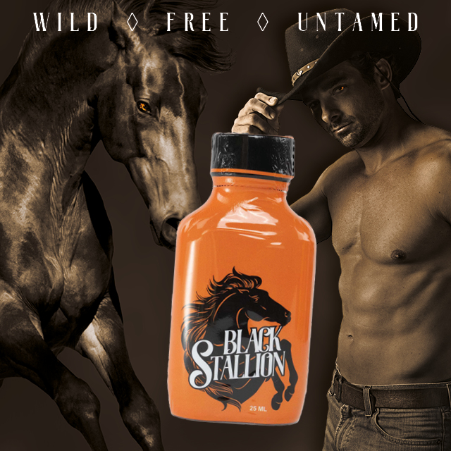 Black Stallion