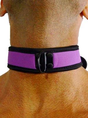 RudeRider Neoprene Puppy Collar Purple